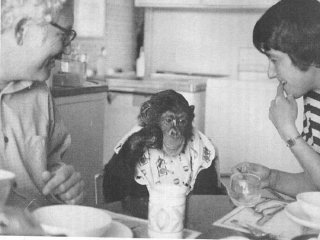 Аллен и Беатрис с шимпанзе