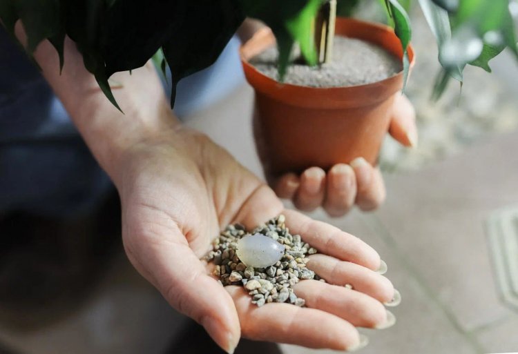 Гидрогели удерживают воду в почве и доставляют удобрение к корням растений