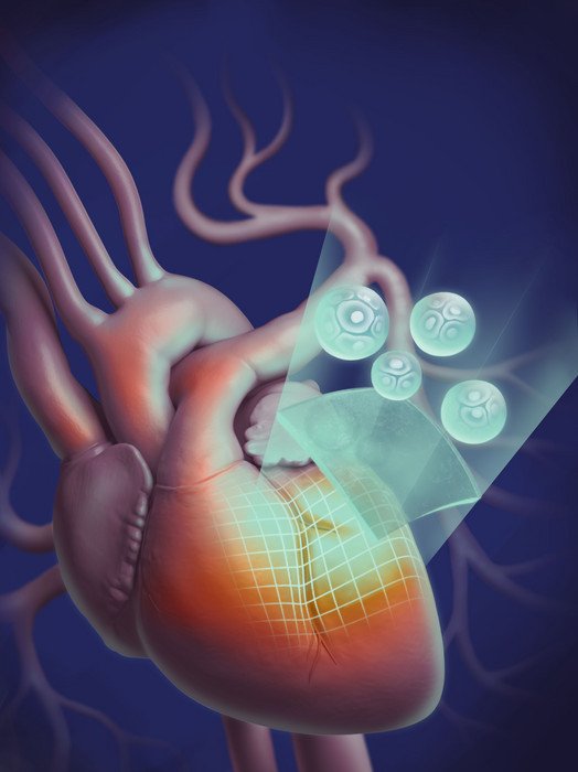 Австралийские ученые напечатали на 3D-принтере «заплатки» на сердце