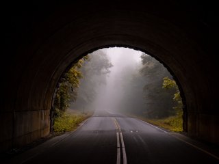Тоннель. Источник: Aaron Burden on Unsplash