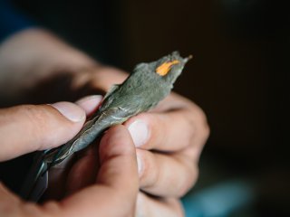 В Зоологическом музее МГУ. Фото: Ольга Мерзлякова / «Научная Россия»