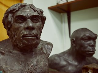 Неандерталец. Фото: Елена Либрик / «Научная Россия»