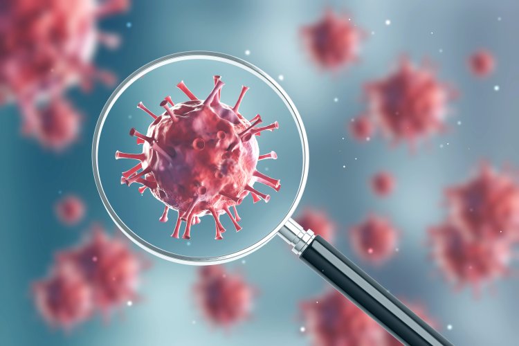 Вакцины с наночастицами усиливают перекрестную защиту от вирусов гриппа