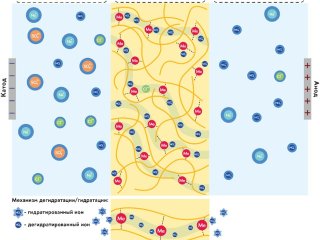 Схема разделения ионов металл-полимерной мембраной в процессе электродиализа. Автор иллюстрации: Манин Андрей