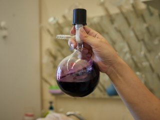 ИИ в химии, новые материалы и «переключаемые» молекулы. Студенческий тур в ИОНХ РАН. Фото: Елена Либрик / «Научная Россия»