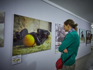 Фото: Елена Либрик / Научная Россия