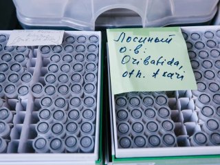 Фото Ольги Мерзляковой