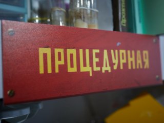 В лаборатории функциональной геномики ИБР РАН. Фото: Елена Либрик / «Научная Россия»