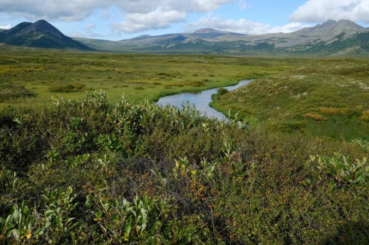 Источник фото: НОШ МГУ