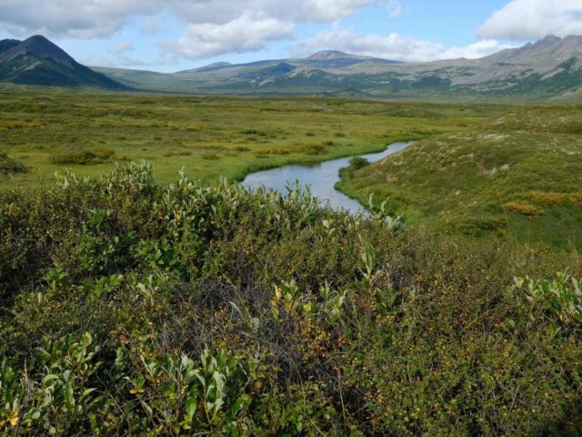 Фото НОШ МГУ