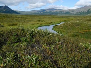 Фото НОШ МГУ