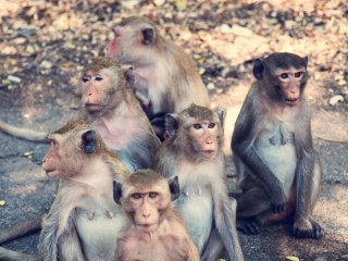 Изображение: rawpixel/Фотобанк RU.123.RU