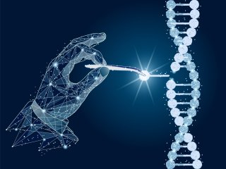 Источник фото: ru.123rf.com