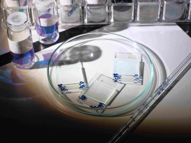 Экспериментальные образцы _умных стекол. Автор Максим Лесной.