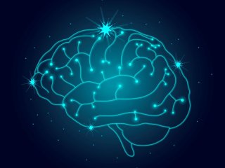 Изображение: Фотобанк Freepik