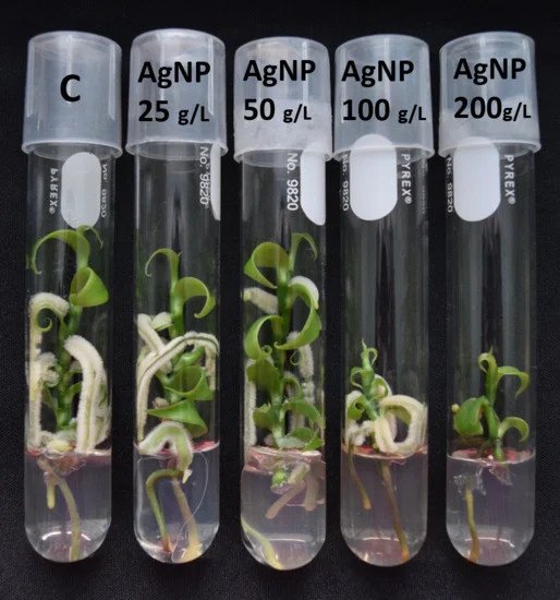 Изображение авторов исследования