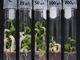 Изображение авторов исследования