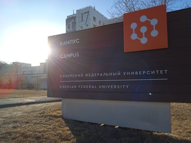 Фото: Полина Любимая