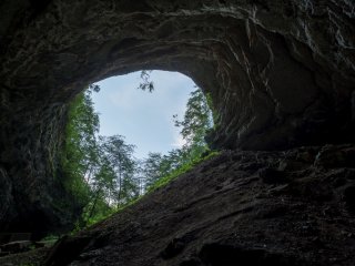 Изображение: Фотобанк Freepik