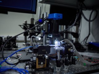 На фотонах и нейтральных атомах: журналистам показали квантовые вычислители МГУ. Фото: Елена Либрик / «Научная Россия»