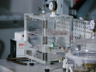 Фото Ольги Мерзляковой