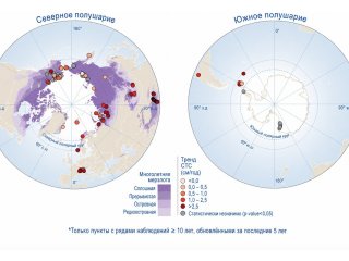 Тренды изменения глубины сезонного оттаивания почвы на мониторинговых площадках за 2000–2024 гг. Источник изображения: статья в журнале Nature Communications Earth & Environment / предоставлено пресс-службой географического факультета МГУ