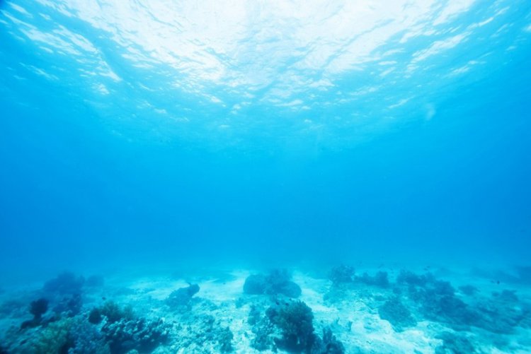 С 1997 года океан теплеет быстрее и глубже