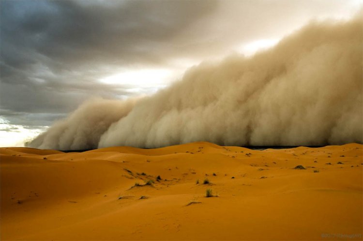 Ученые нашли, что пыль из Африки повлияла на климат
