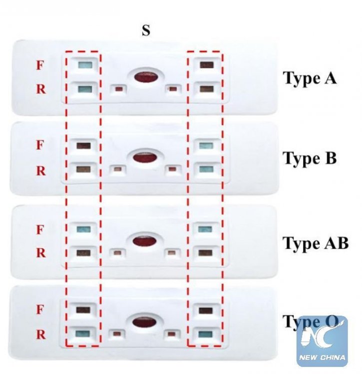 Новый «бумажный» тест помогает за секунды определить группу крови