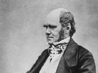 5 апреля 1859 года. Дарвин отправил издателю первые три главы «Происхождения видов»