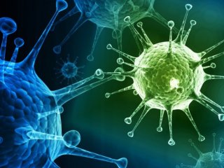 Ученые НИОХ СО РАН синтезировали новое соединение, эффективное против вируса гриппа