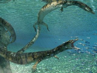 Канадские палеонтологи открыли новый вид древней морской рептилии