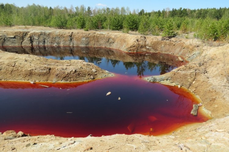 Ученые ИНГГ СО РАН: хвостохранилища токсичных отходов серьезно угрожают экологии России