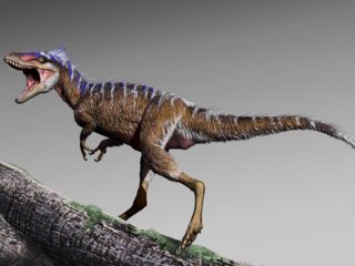 Тиранозавры были маленькими и быстрыми