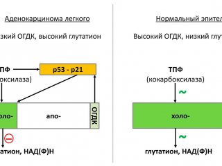 Изображение авторов исследования