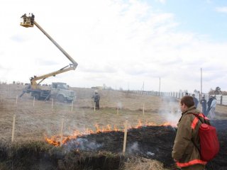 Организация встречного пала для тушения низового лесного пожара. Фото: Денис Петрович Касымов