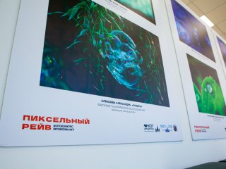 Фото: Ольга Мерзлякова / «Научная Россия»