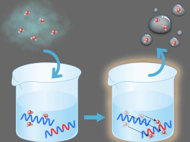 Молекулы воды в паре притягиваются к водолюбивому полимеру в растворе сополимера. Наличие менее гидрофильного полимера вызывает обмен, который способствует высвобождению воды. Фото: Osaka Metropolitan University / Masahide Takahashi