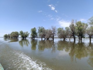 Дельта Волги весной. Автор фото: Василий Ефимов