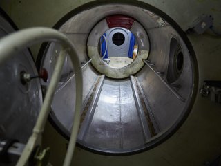 Фото: Елена Либрик / Научная Россия