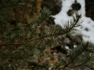 Фото: rawpixel/Фотобанк RU.123.RF