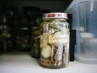 Фото Ольги Мерзляковой