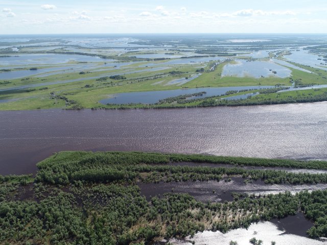 Река Обь. Автор фото: А. Завадский 