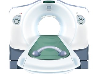 Источник фото: ru.123rf.com