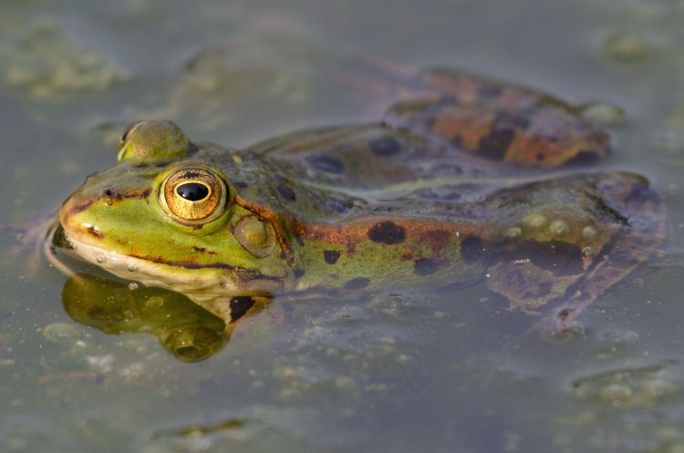 Фото: chrinue / ru.123rf.com