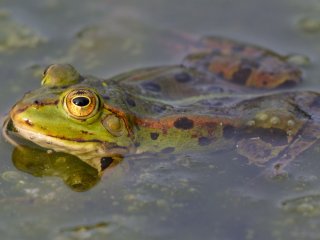 Фото: chrinue / ru.123rf.com