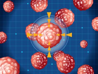 Изображение: Фотобанк Freepik