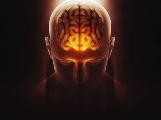 Изображение: Фотобанк Freepik