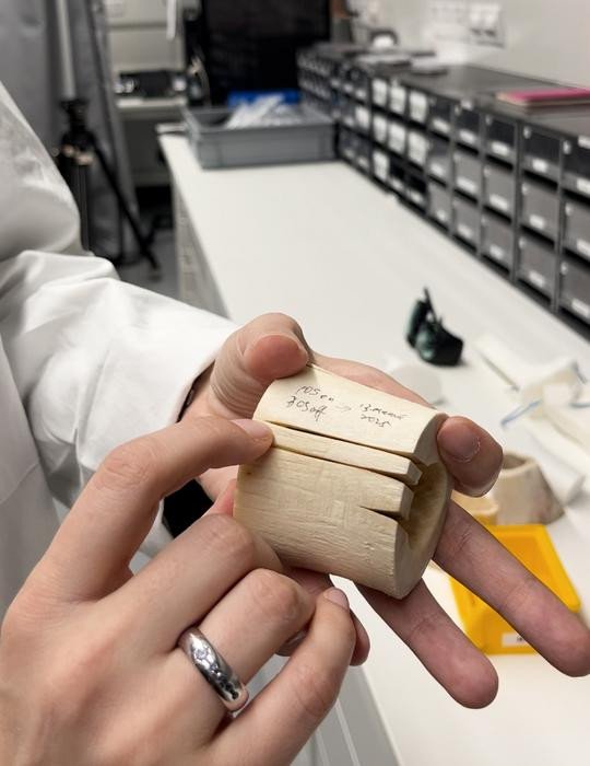 Ферда Канбаз демонстрирует глубину разреза, которую можно получить с помощью лазера при регулировке энергетического профиля лазерного луча. Фото: University of Basel, Catherine Weyer