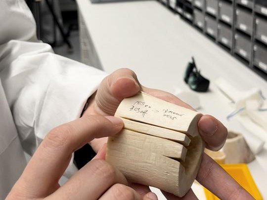 Ферда Канбаз демонстрирует глубину разреза, которую можно получить с помощью лазера при регулировке энергетического профиля лазерного луча. Фото: University of Basel, Catherine Weyer